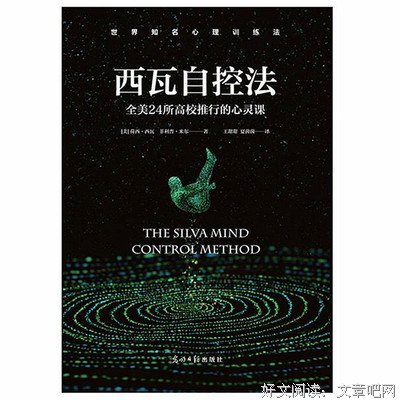 《西瓦自控法》的读后感大全