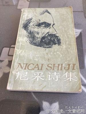 尼采诗集经典读后感有感