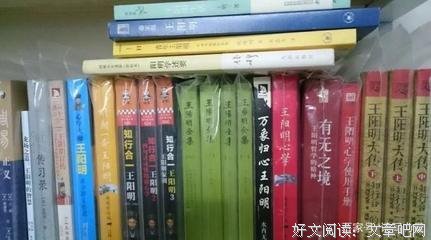 《香港新儒家》读后感1000字