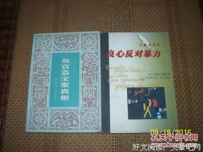 《良知对抗暴力》读后感摘抄