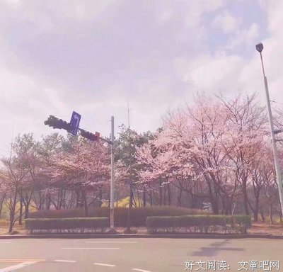 关于隔岸观火的名句摘抄