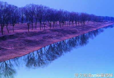 《此刻花开2》读后感1000字