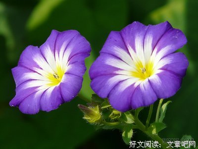 关于中流砥柱的唯美语录
