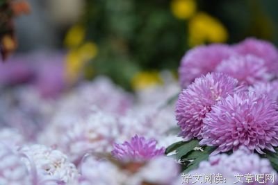 《《山河人间》绘本》读后感1000字