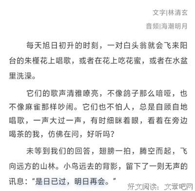不忧昨日，不期明日读后感摘抄