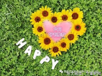 大莫纳读后感精选