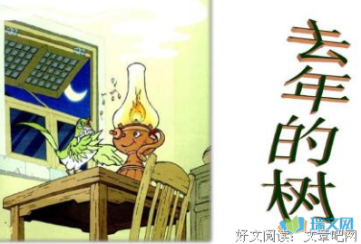 南方与北方读后感100字