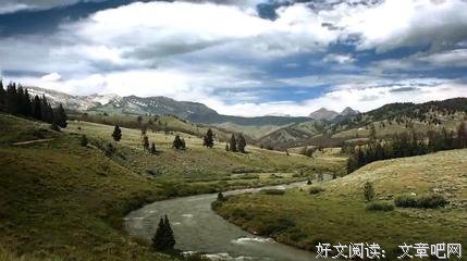 《完美罪行》影评精选