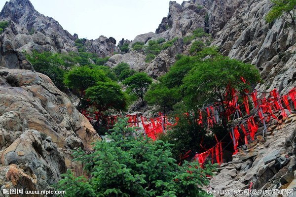 《贺兰山》的观后感大全