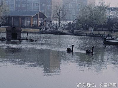 俗人言经典的句子