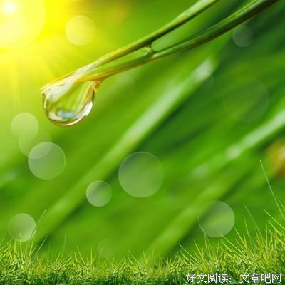 关于阳光一直都在的优美句子