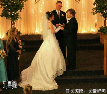 新娘。句子