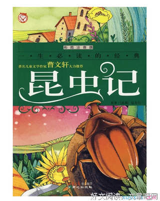 安是当在尼好词好句