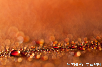 亦舒名句欣赏