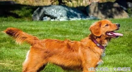 他们的柔软需要被看见