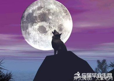 狼外婆经典读后感有感