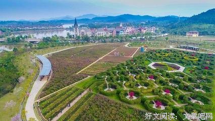 情商高就是说话让人舒服读后感100字