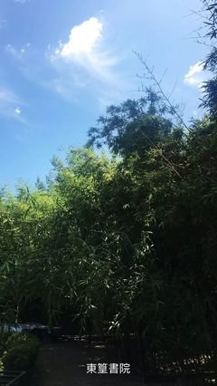 关于普天之下的座右铭