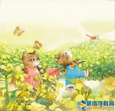 《我是猫》读后感1000字