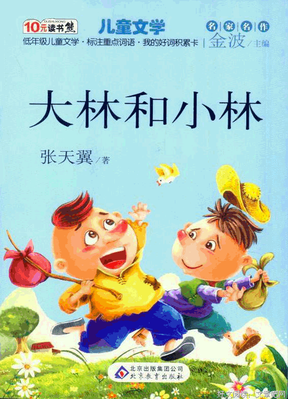 《大林和小林》读后感摘抄