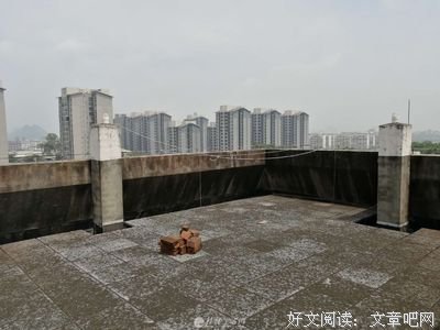 《生活天平》经典影评有感