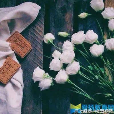 心情句的优美句子
