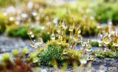 有关痕迹的句子