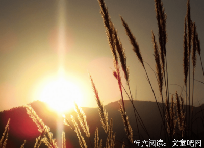散文集好词好句