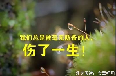 飘摇风雨吾自安句子