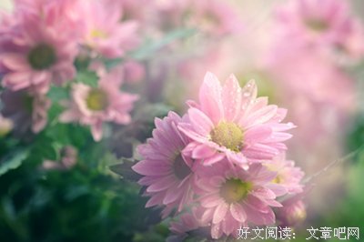 有关没吃用淡如十然的句子