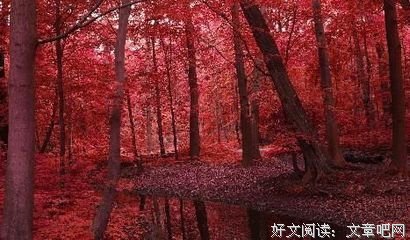 曾经懵懂天真名句欣赏
