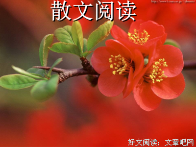 当代句子大全