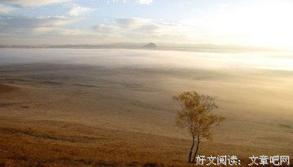 关于名家的优美句子