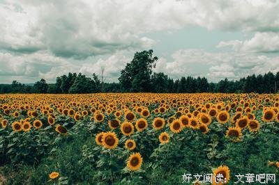 最经典的《说好的是情敌里上！［快穿］》小说句子