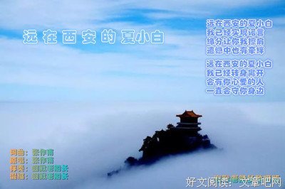 最新的《夏小白的刘思乱想》经典语句