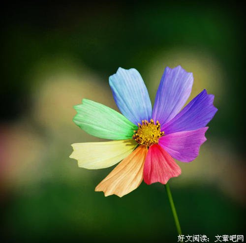 和一个懂你的人说话（句句真理）