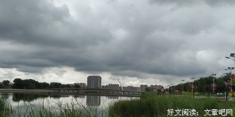 肥猫艺术课读后感100字