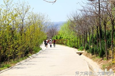 让达成目标成为习惯读后感100字
