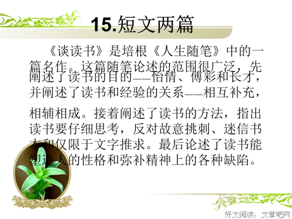 有关不求甚解的美文美句摘抄