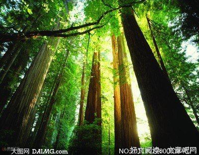 《视界·无界》读后感锦集