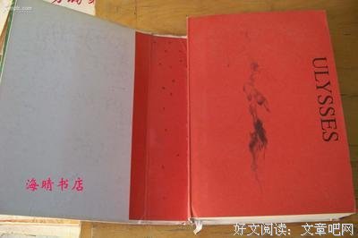 《尤利西斯》读后感锦集