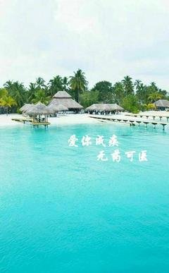 爱你成疾，无药可医的优美句子