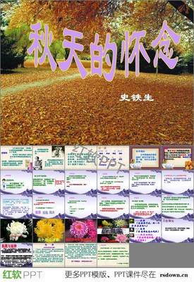 关于史铁生。我与得家金数样夫坛的优美句子