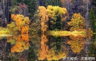 年少的欢喜。好词好句