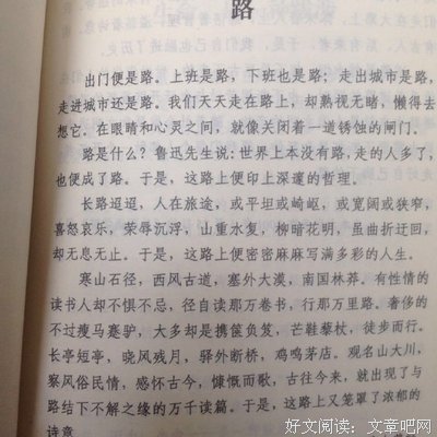 《小花集》经典的句子
