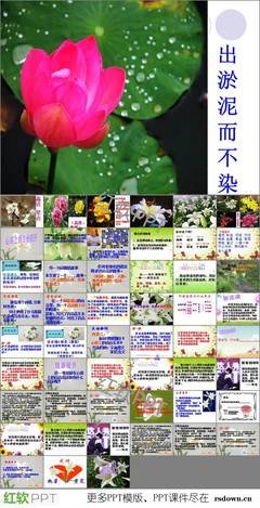 花开彼岸的优美句子