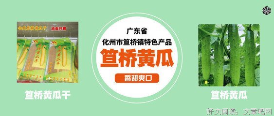《钟于喜欢.》的句子