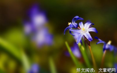 文墨优美的句子