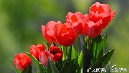 微信个人句子大全
