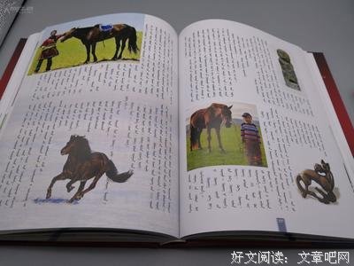 名字经典的句子